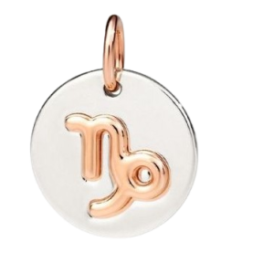 Médaille Astro Capricorne